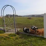 U černých Ovcí Náměšť nad Oslavou