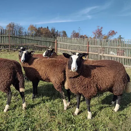 U Cernych Ovci 度假居