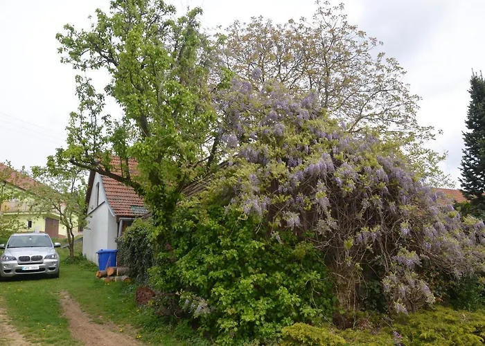 U Cernych Ovci Náměšť nad Oslavou
