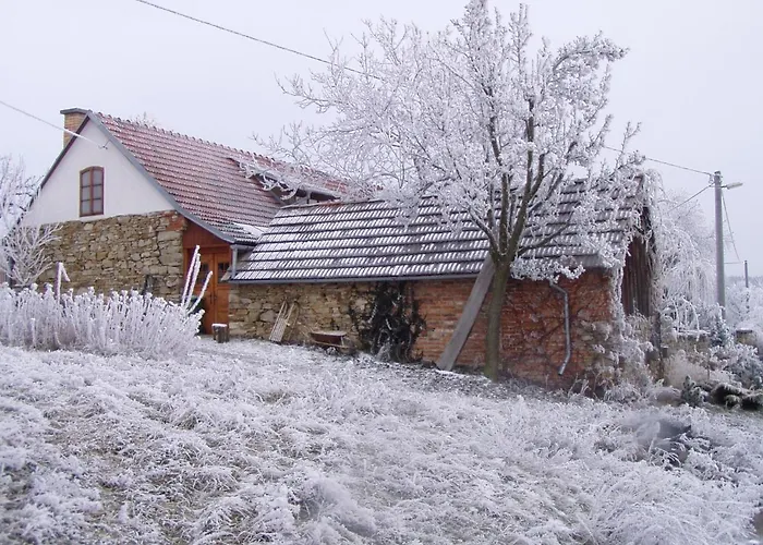 U Cernych Ovci *